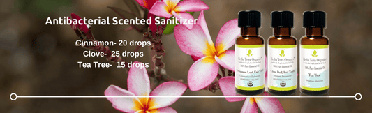 USDA Certified Organic Oil, Antibacterial Blend, Antibacterial Bundle, Cinnamon Oil, Clove Oil, Tea Tree Oil