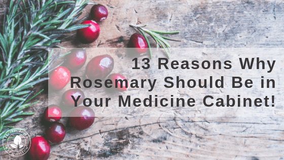 Rosemary Herb