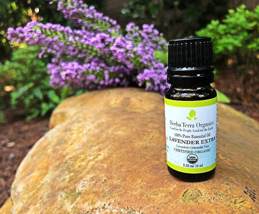 usda organic lavender for Insomnia and stress