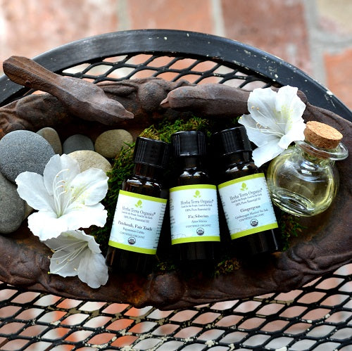 Best Essential Oils for Massage Therapy