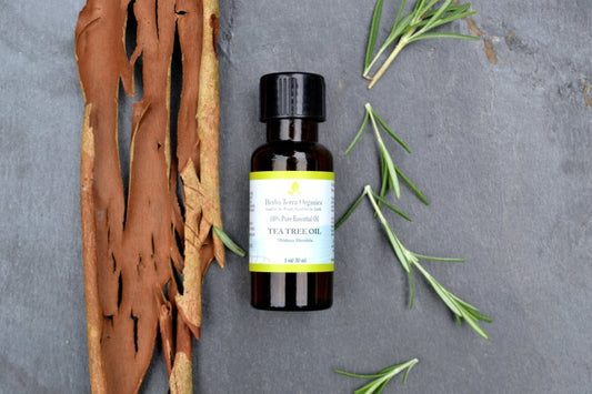 australian tea tree oil