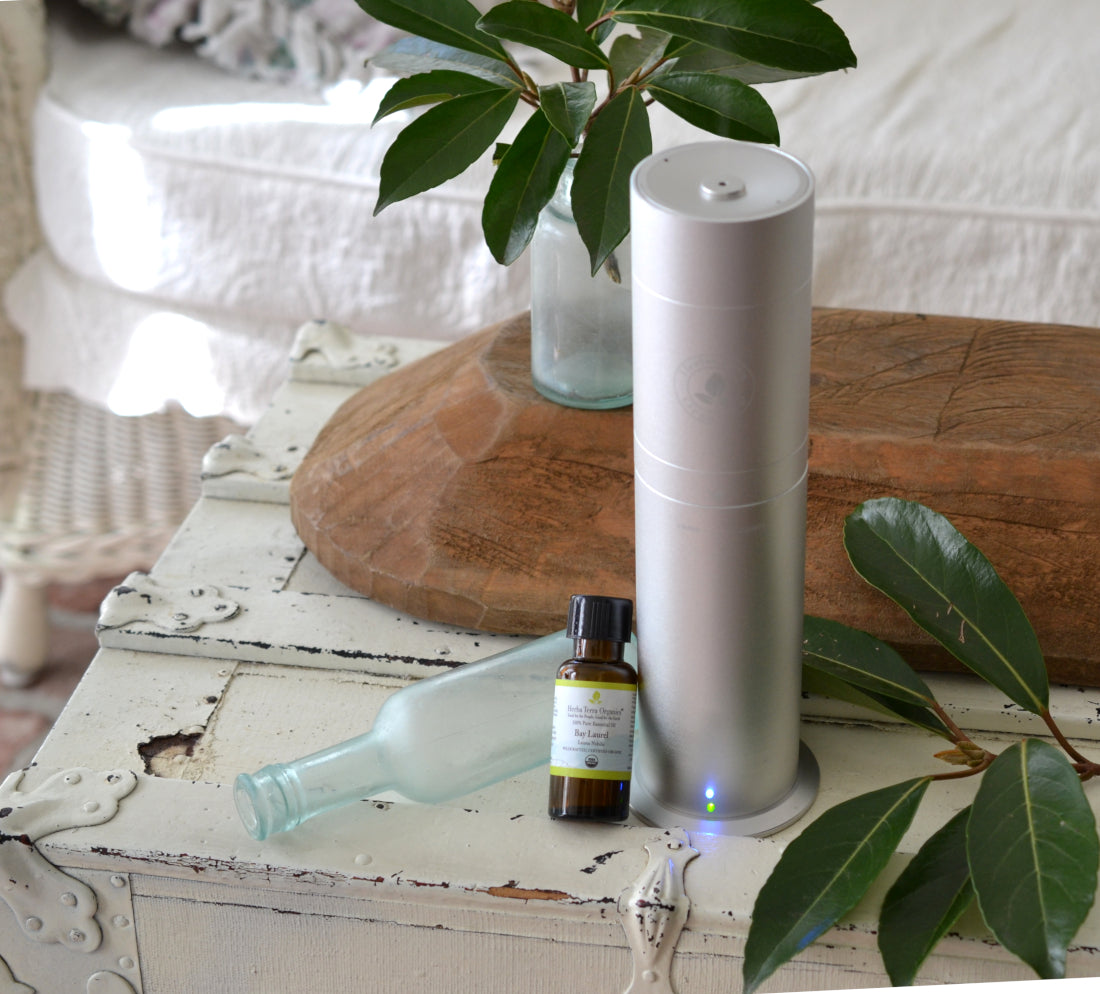 usda organic bay laurel essential oil for health benefits