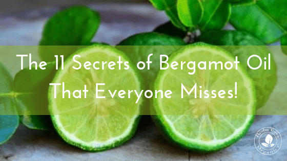 Bergamot fruit citrus