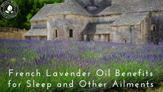 Organic French Lavender Essential Oil health benefits for sleep, stress, lowering blood pressure