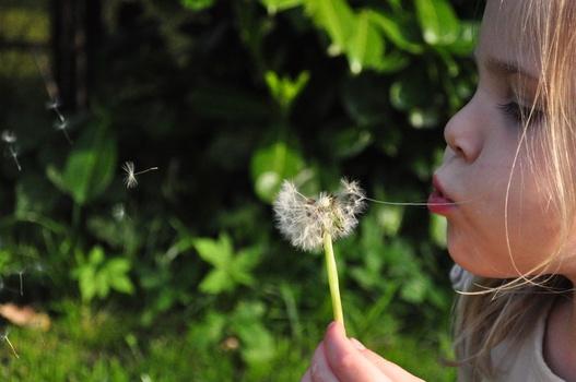 Save Your Money and your health: Buy USDA Organic Essential Oils