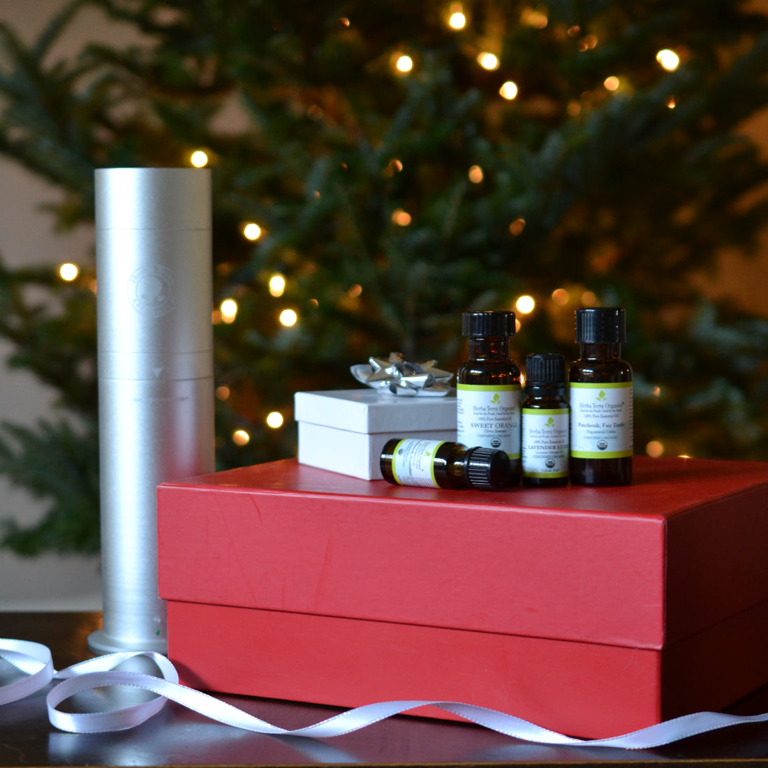 Winter Wellness Gift Set -save $100!! (28% off)