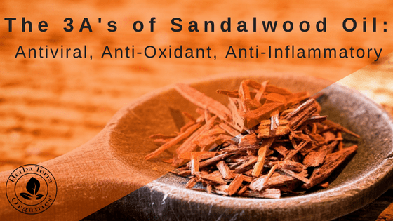 Antiviral, Anti-Oxidant, Anti-Inflammatory properties of sandalwood oil