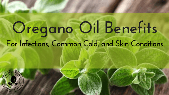USDA Certified Organic Oregano Essential Oil for infections, cold and skin conditions