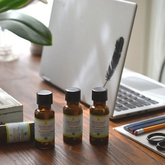 Top 10 Essential Oils for Learning & Productivity