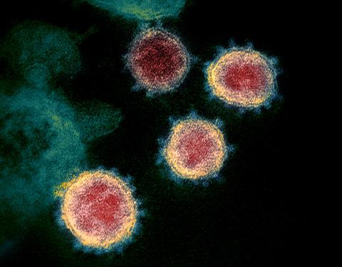 What You Really Should Know About the Coronavirus Outbreak Right Now