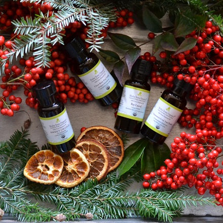 Healthy Snacks and Apetizers with Essenttial Oils for Holidays