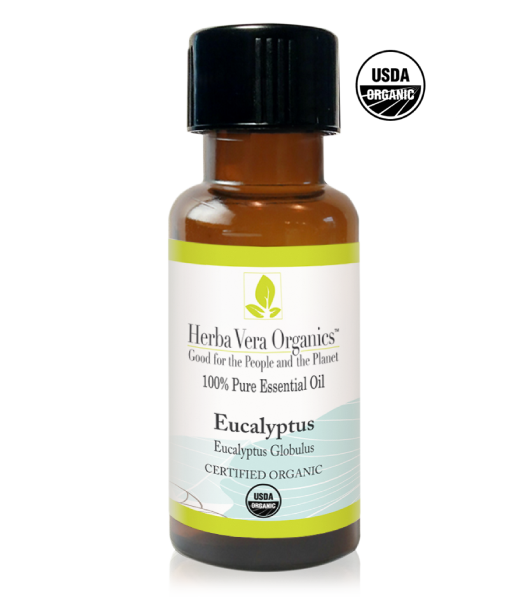 Eucalyptus Globulus Essential Oil - Herba Vera Organics