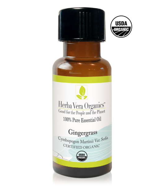 Gingergrass Essential Oil - Herba Vera Organics